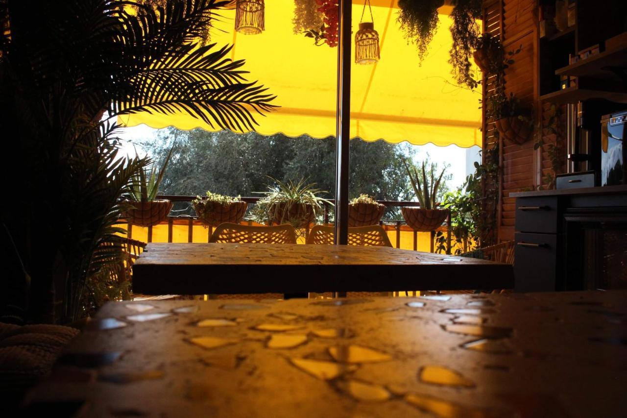 Rosie'S Club Otel Ajaccio  Dış mekan fotoğraf